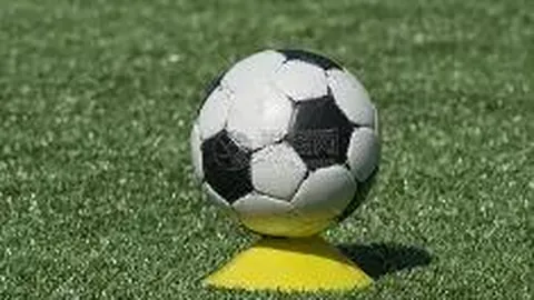 米兰体育 资讯 095129 22o